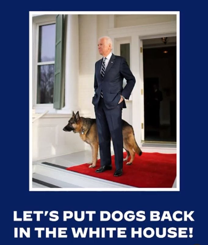 biden-dog