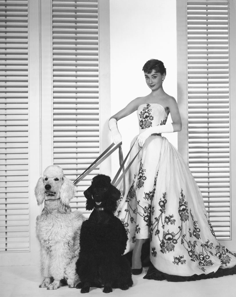 Audrey Hepburn en 'Sabrina', 1954.