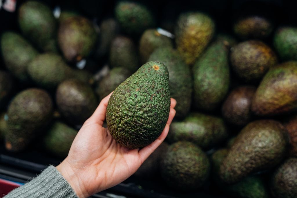 El aguacate es uno de los frutos más consumidos en la actualidad
