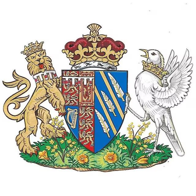 Media Image