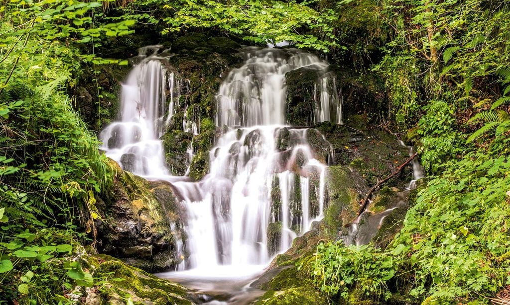 Cascada en el río Ponga