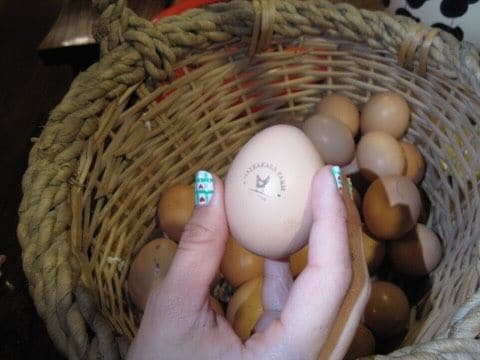 Evaluna está feliz por los resultados que tiene en su finca