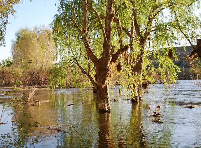 imagen de archivo del río Ebro