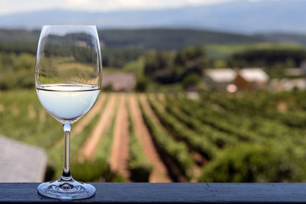 Los vinos blancos de godello, entre los que están los de la D.O. Monterrei, están pisando fuerte últimamente.