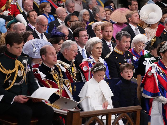 Los príncipes Harry y Guillermo de Inglaterra, unidos por Diana de Gales