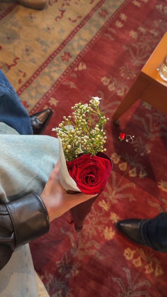 La roja rosa que regalaron en el cumpleaños
