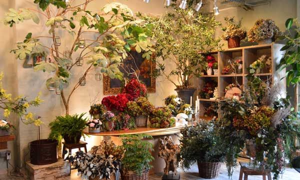 Llorens & Durán (llorensyduran.eu) abren las puertas de su taller de flores, ofreciendo un bosque mágico en pleno Madrid.
