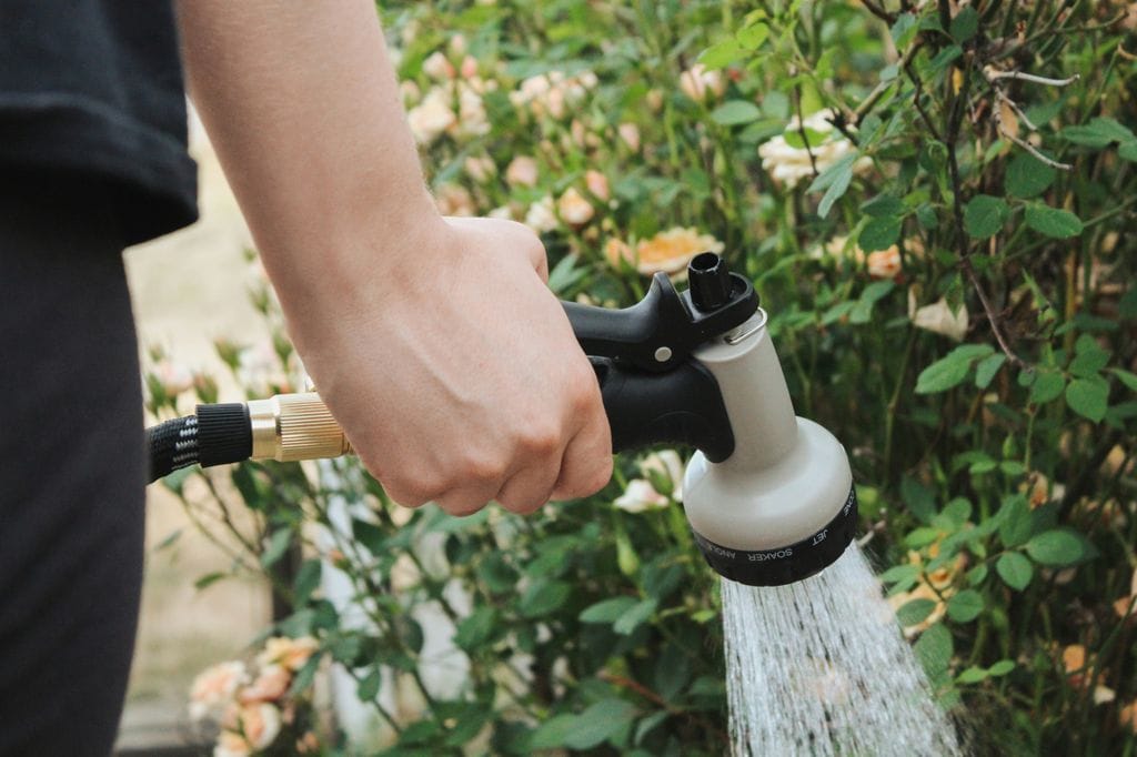 Riego del jardín con manguera