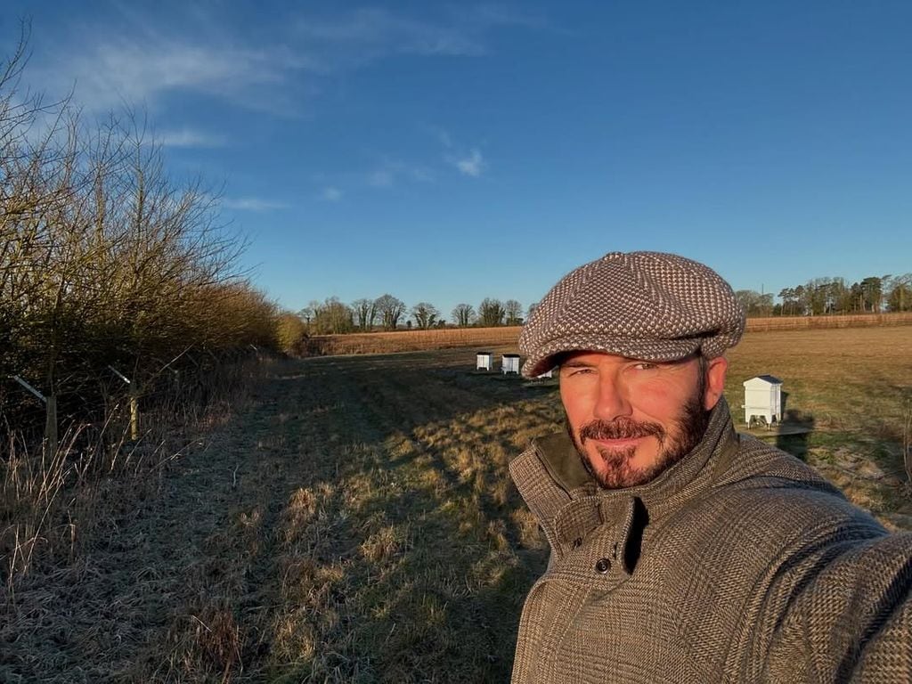 David Beckham en su granja