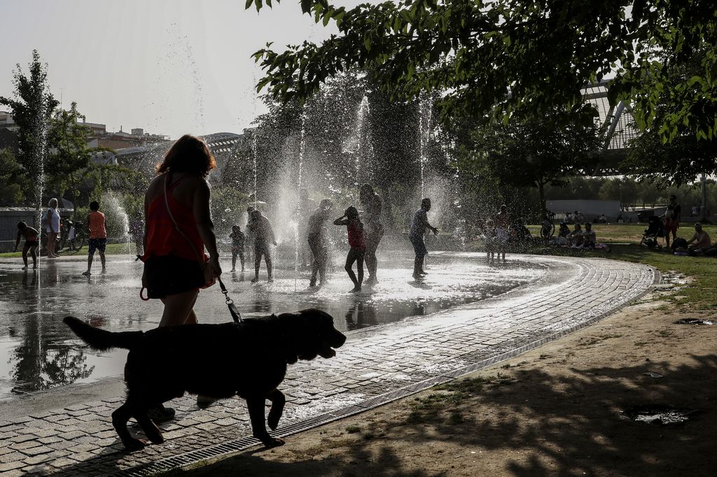 Mujer paseando con su perro en verano