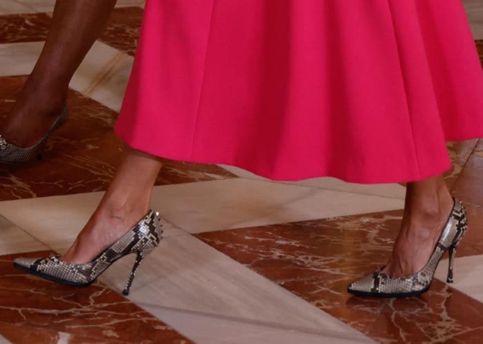 Zapatos de serpiente