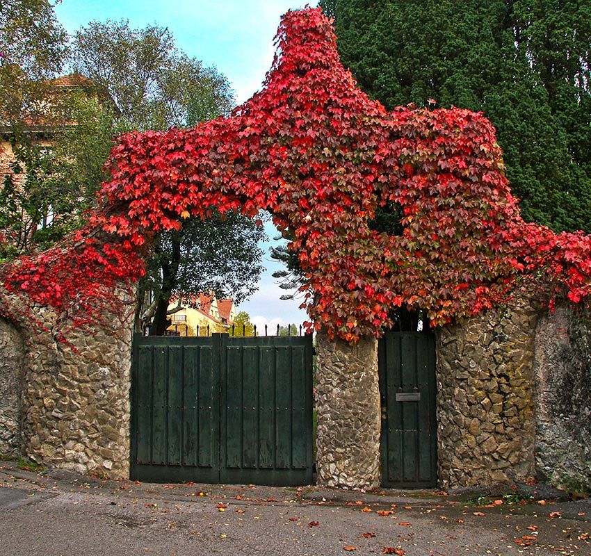 Puerta de los Pájaros, Comillas