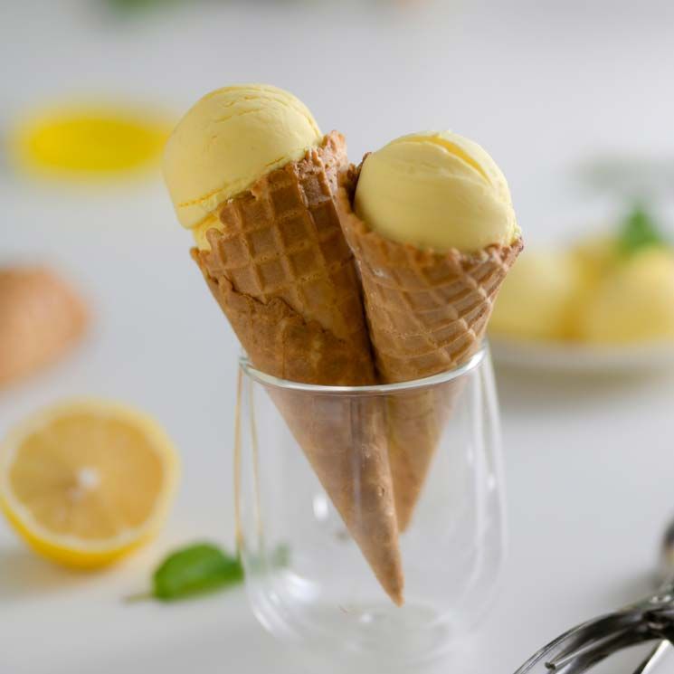 limon yogur adobe