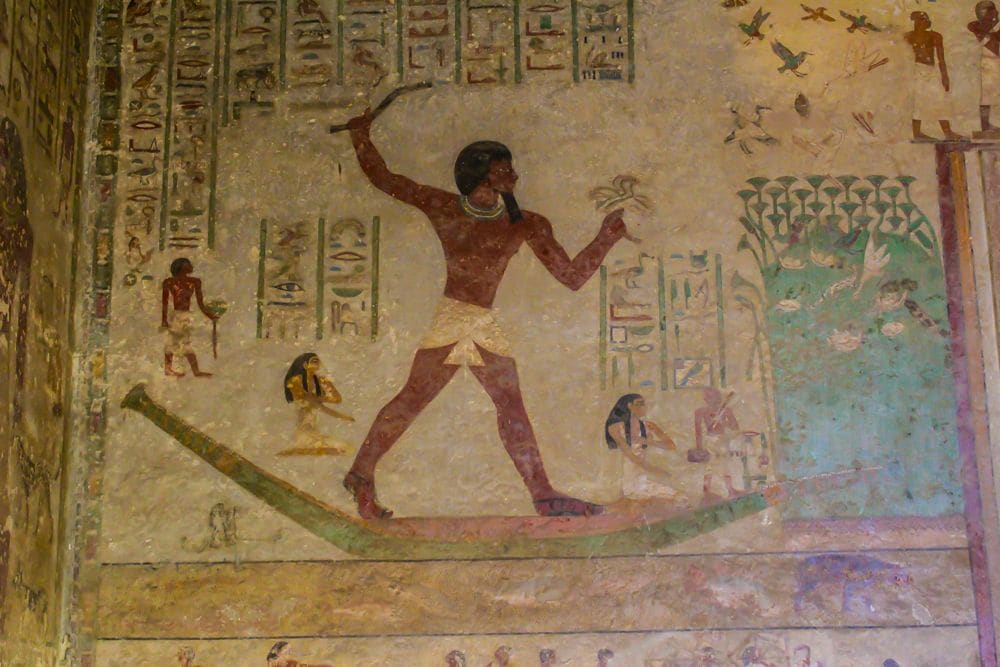 Media Image