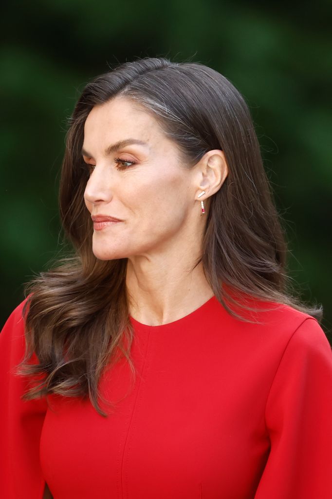 Reina Letizia