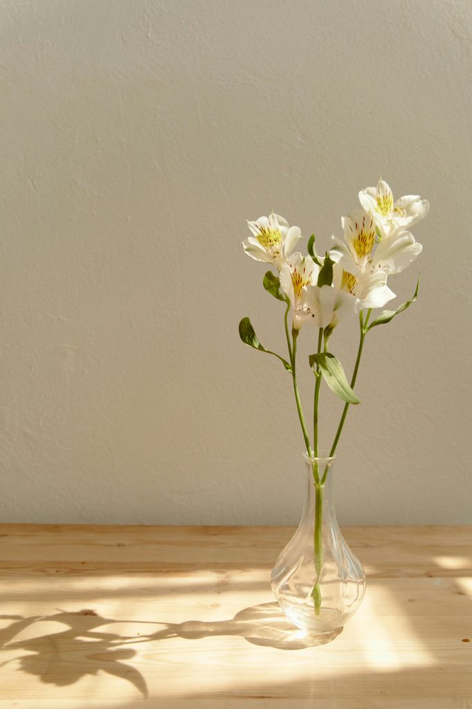 Ramo con flor cortada: lirios de los Incas blancos