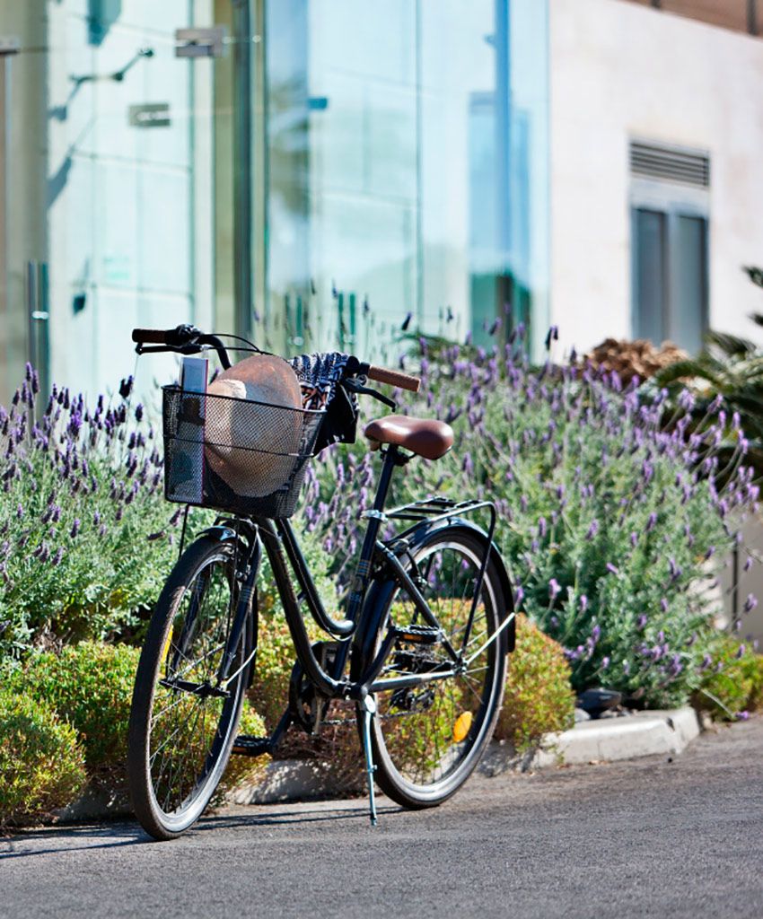 Actividades de Farol Hotel, Cascais