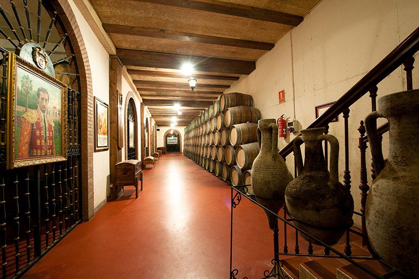 museo-vino