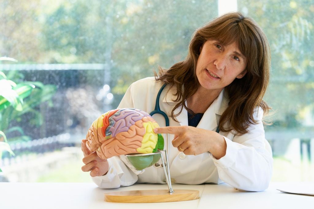 Mujer en bata blanca y estetoscopio señalando un modelo de cerebro.