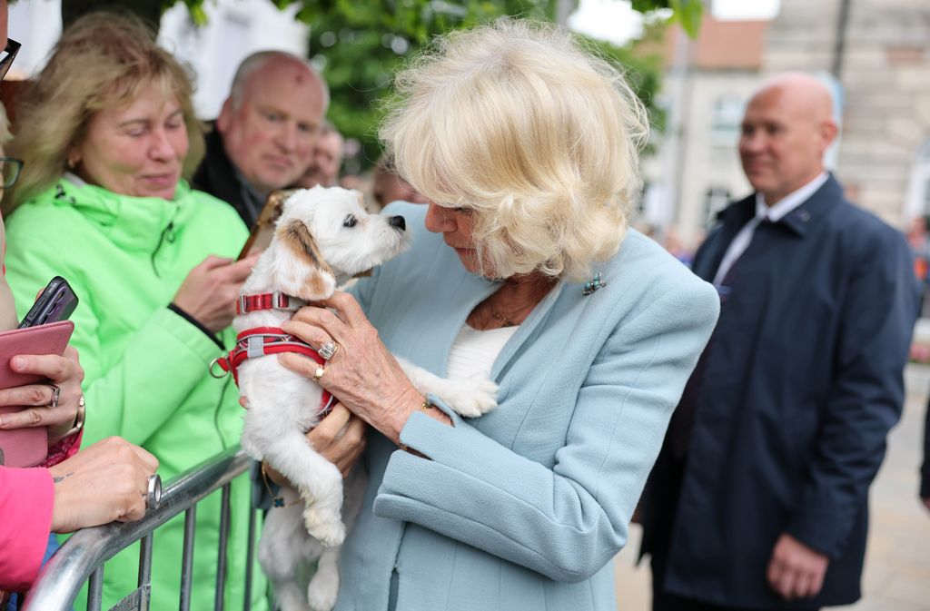 Simpática imagen de la reina Camilla con un perro por las calles de Newtownards (Irlanda del Norte)