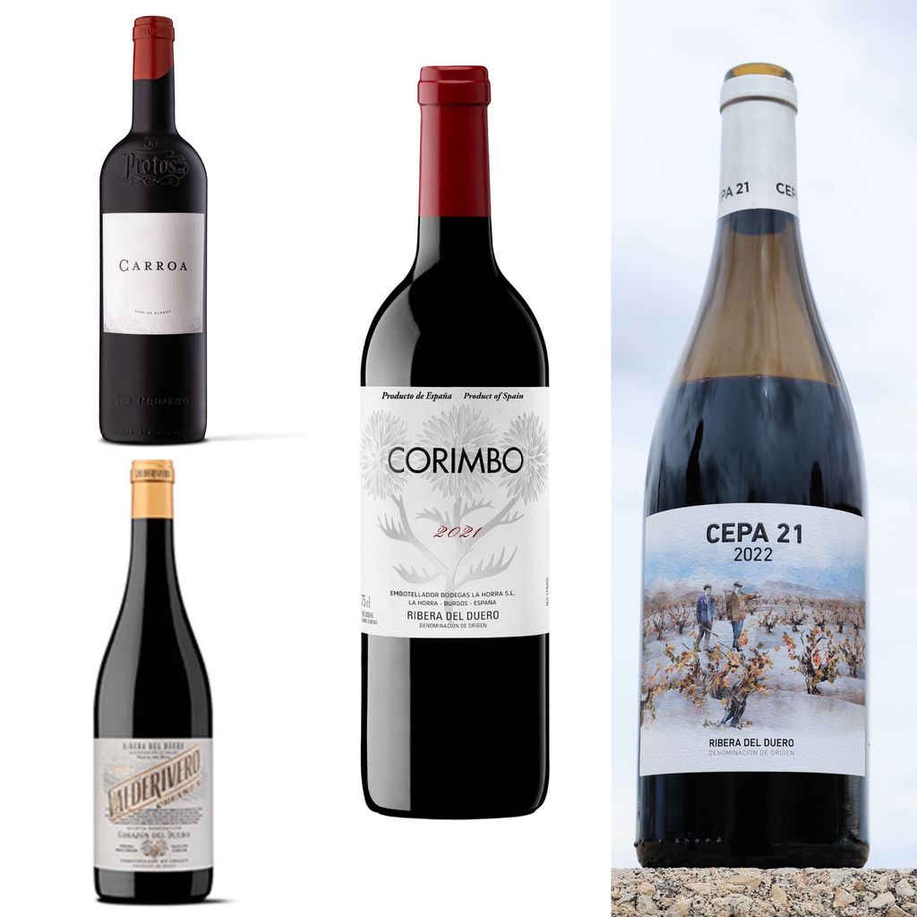 Vinos tintos de Ribera del Duero