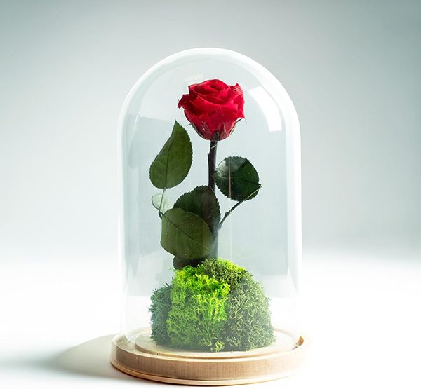 Rosa Eterna de Omotesando