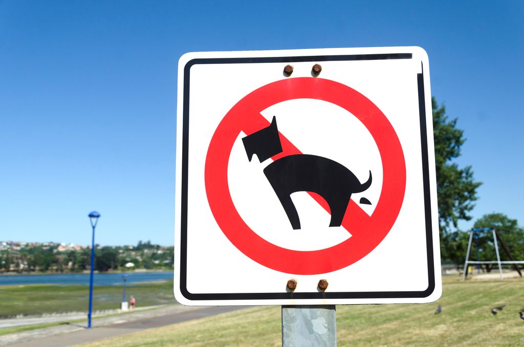 Cada excremento abandonado puede convertirse en una pista genética capaz de identificar al perro y a su propietario