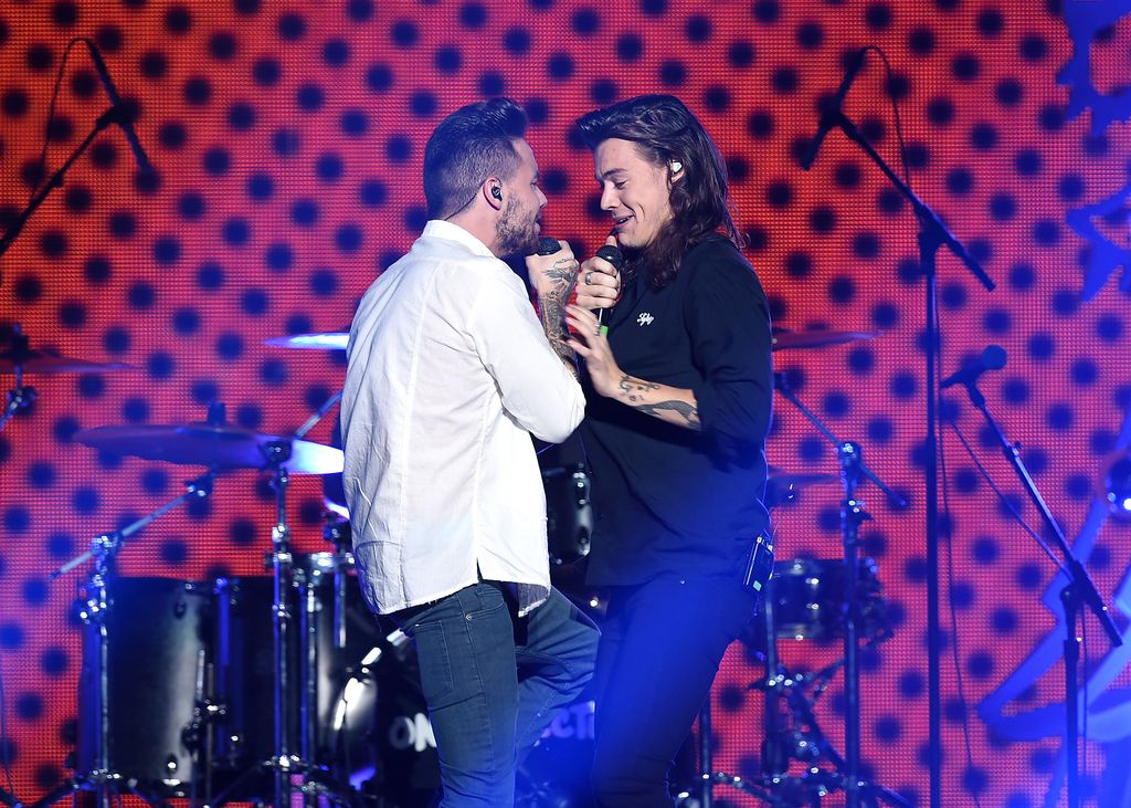 Harry y Liam en uno de los últimos conciertos de One Direction