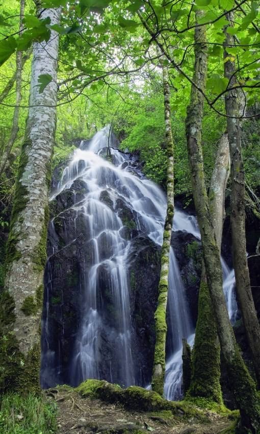 Cascada del arroyo de la Salgueira, con una caída de 50 metros de altura.
