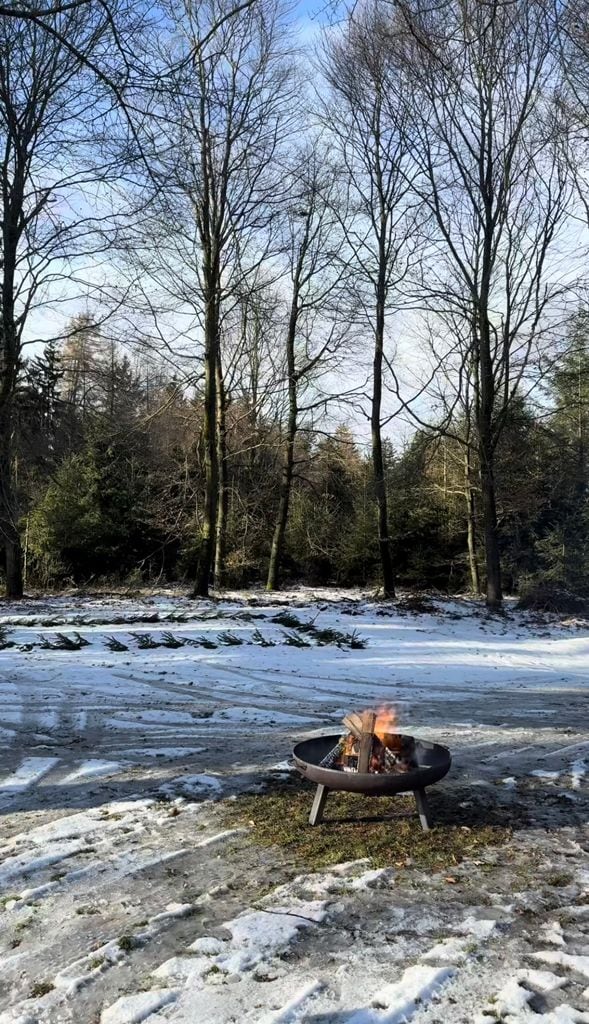 La princesa Cleo zu Oettingen-Spielberg en su palacio cerca de Baviera.