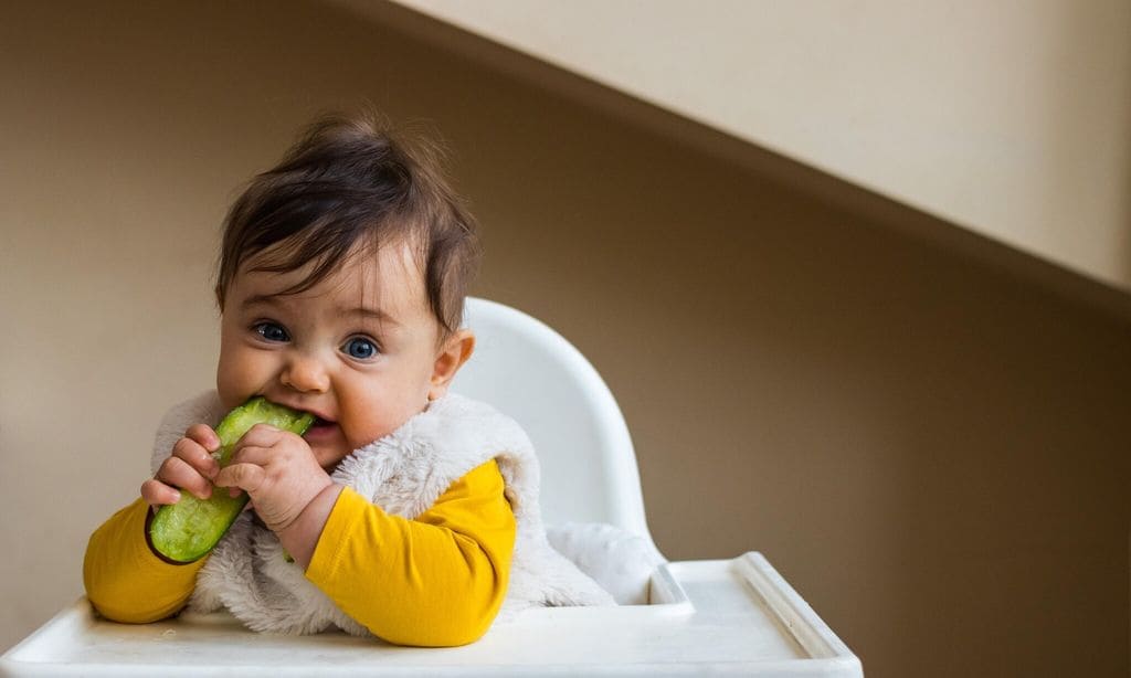 ni o comiendo trozo de calabacin en la mano