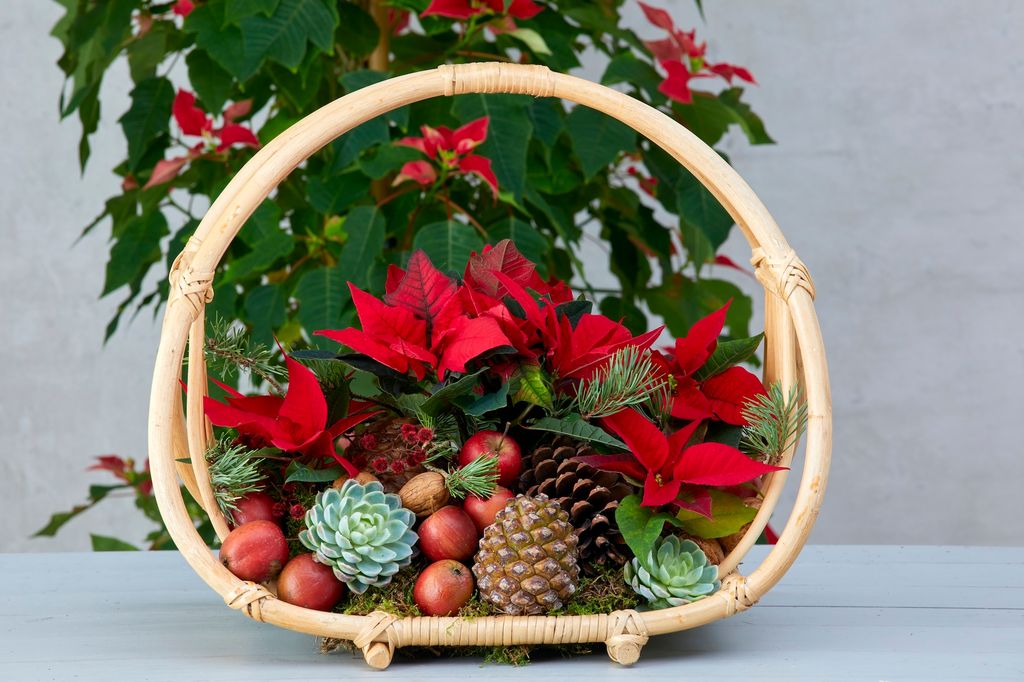 Adorno de Navidad con poinsettias.