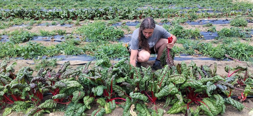 Christian González, propietario de La Huerta de Abril, de cuyos vegetales y hierbas aromáticas se surte Allégorie.