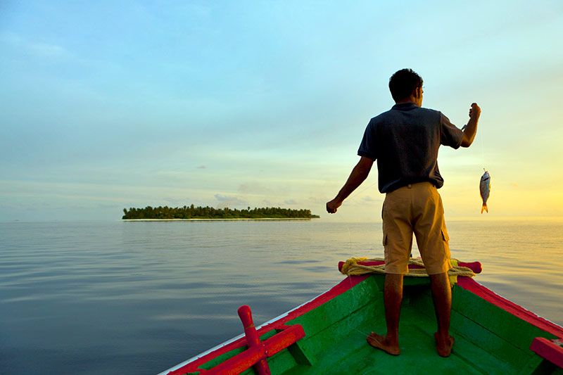 Angsana-Velavaru-Maldivas---Pesca