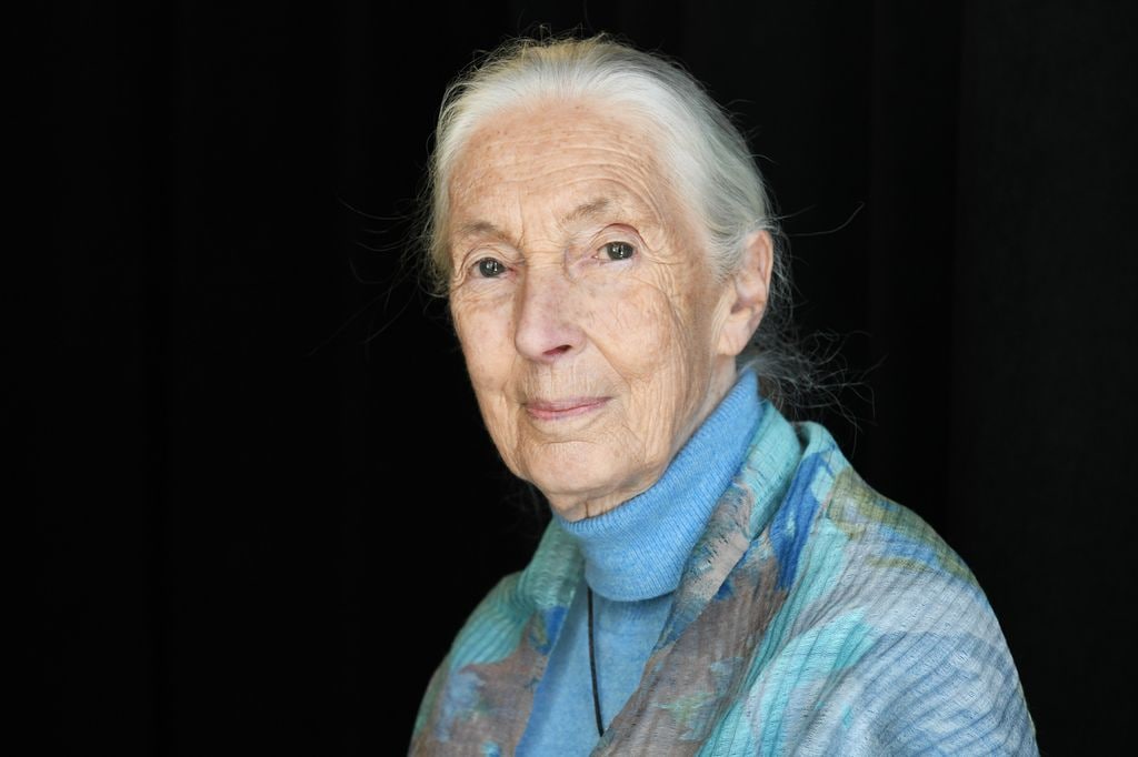 Jane Goodall 