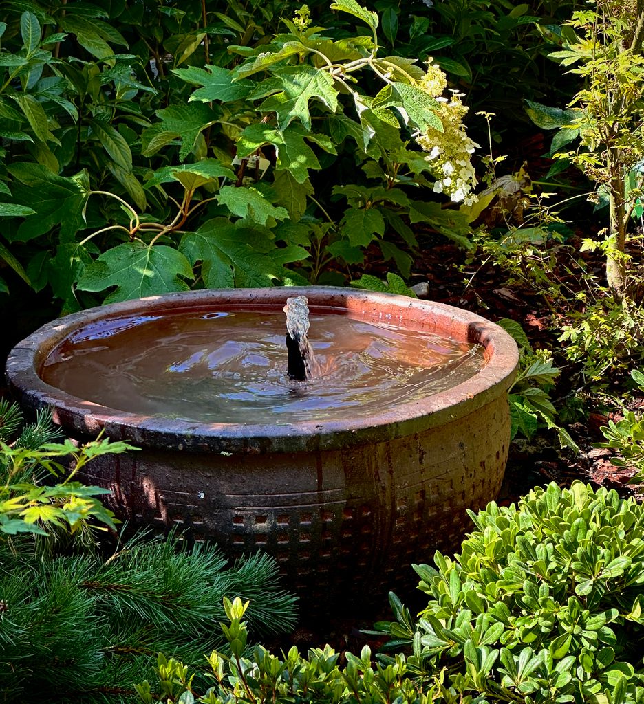Fuente en el jardín