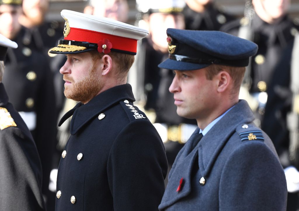 Primer plano del Principe Guillermo y el Príncipe Harry en la ceremonia de Remembrance Sunday 