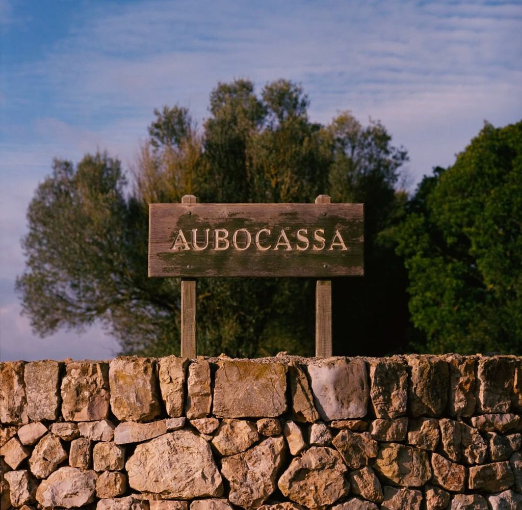 Media Image