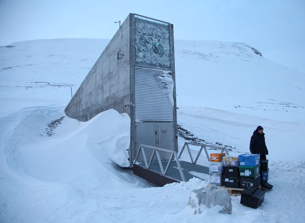 La Bóveda Global de Semillas de Svalbard, situada en el Ártico noruego, acaba de ser reconocida con el Premio Princesa de Asturias de Cooperación Internacional por su papel en la protección de la seguridad alimentaria mundial