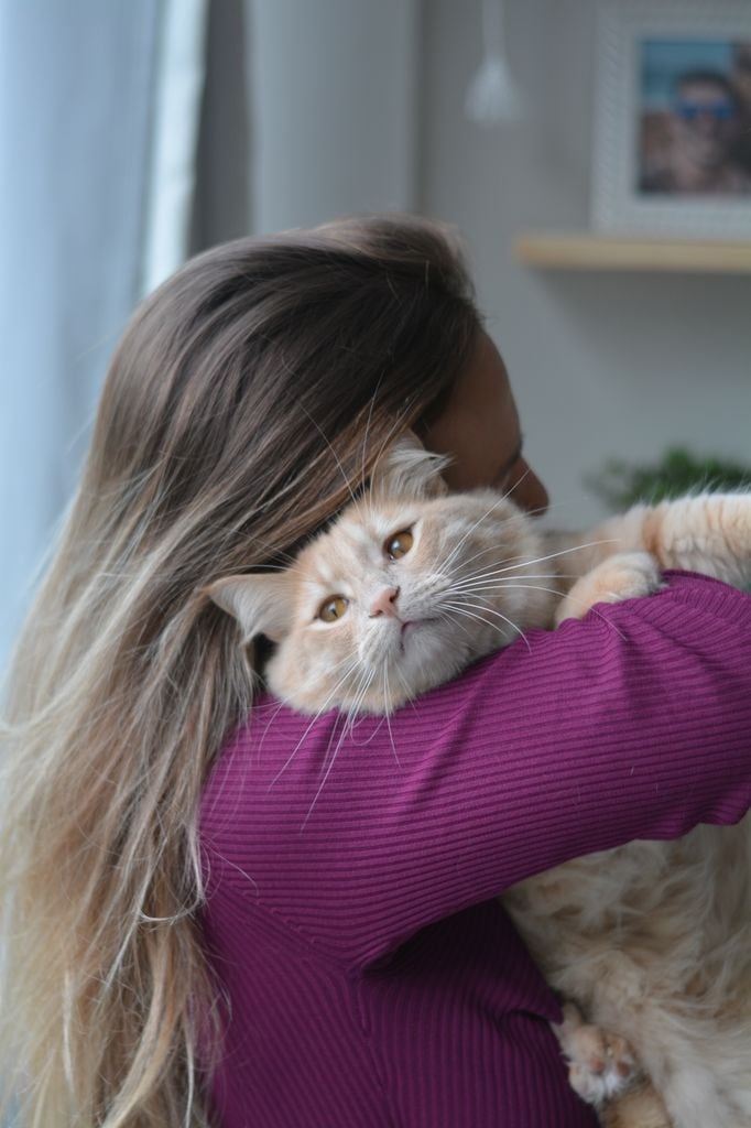 Lejos de ser distantes, los gatos establecen vínculos profundos cuando se sienten seguros y comprendidos