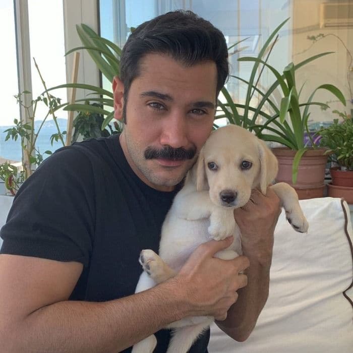 Tierra-amarga-ugurnesofficial-cachorro-ig