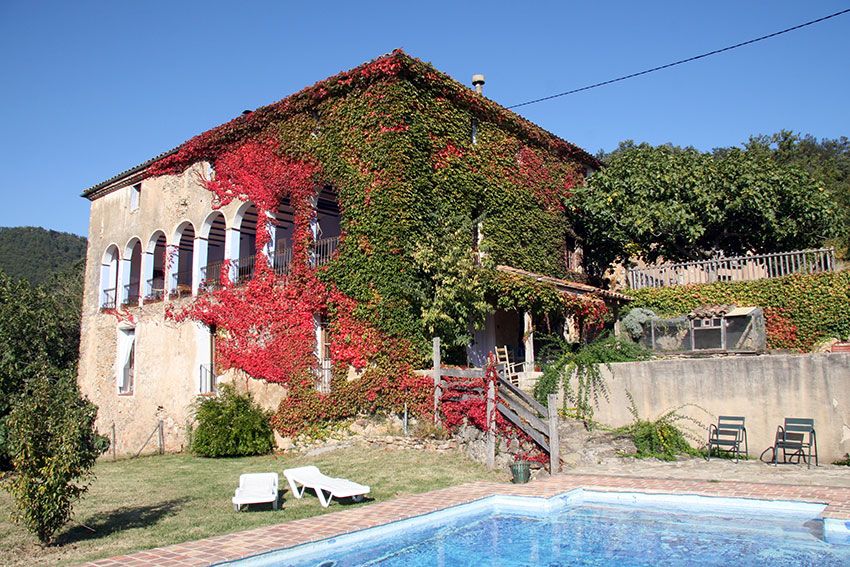 mas-garganta