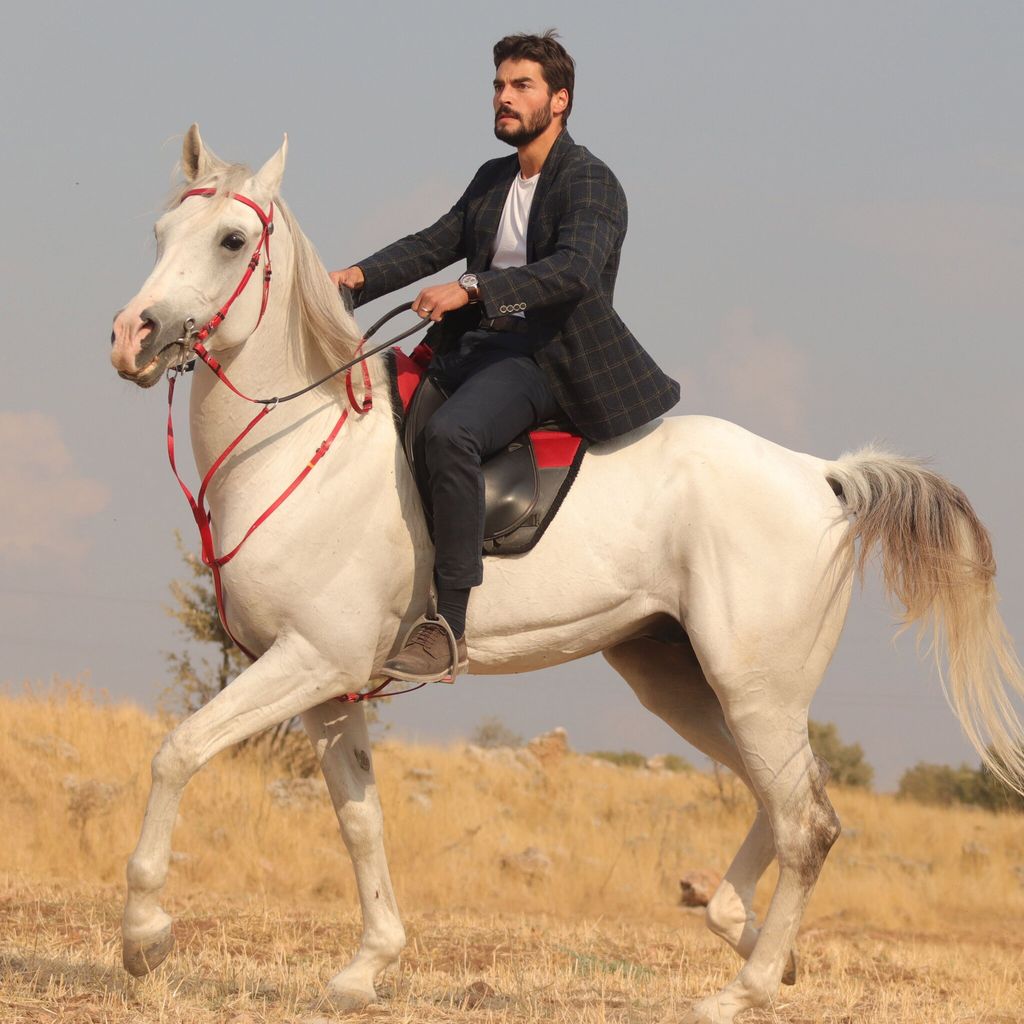 akin akin z 