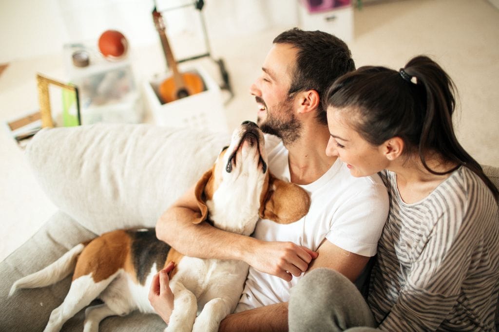Una pareja junto a su perro