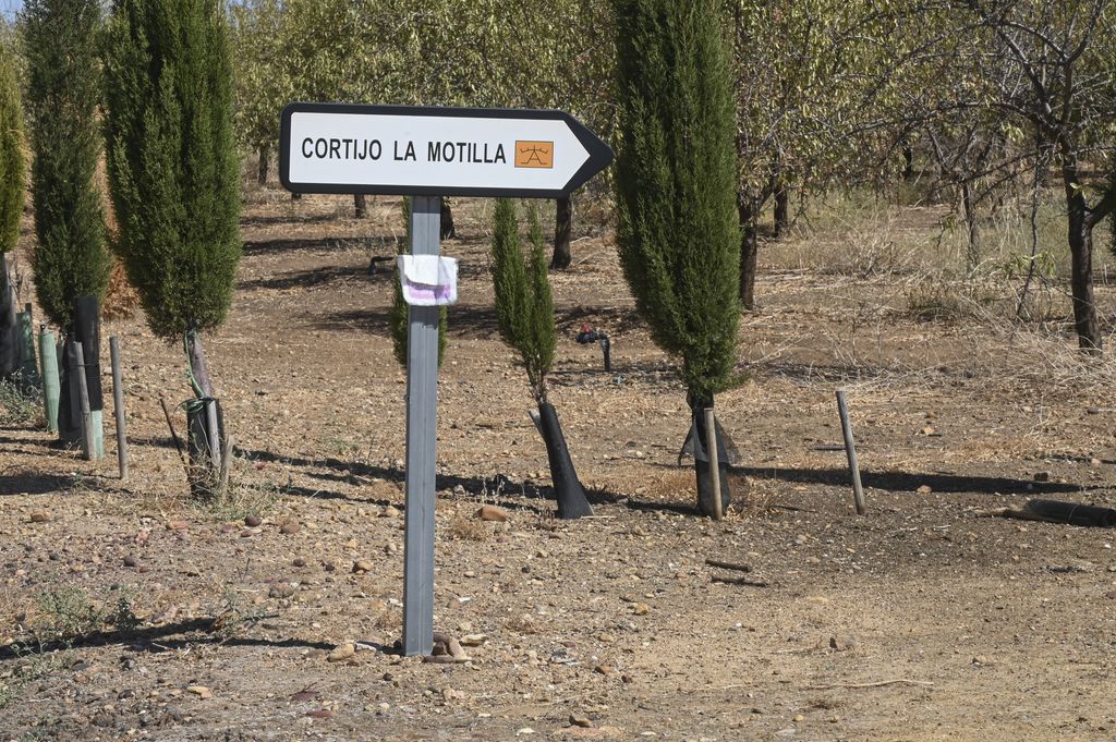 Cortijo La Motilla, Carmona (Sevilla)