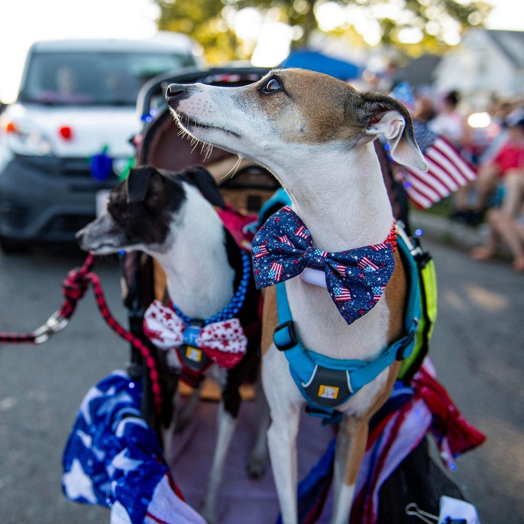 US-HOLIDAY-PARADE