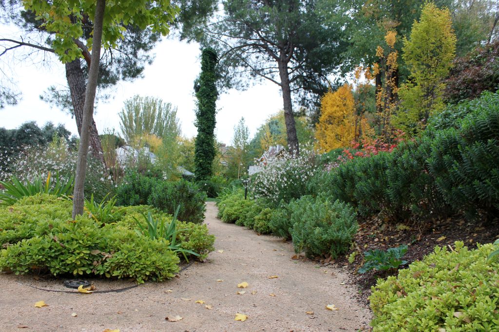 La diversidad de plantaciones ayuda a prevenir la aparición de plagas en el jardín