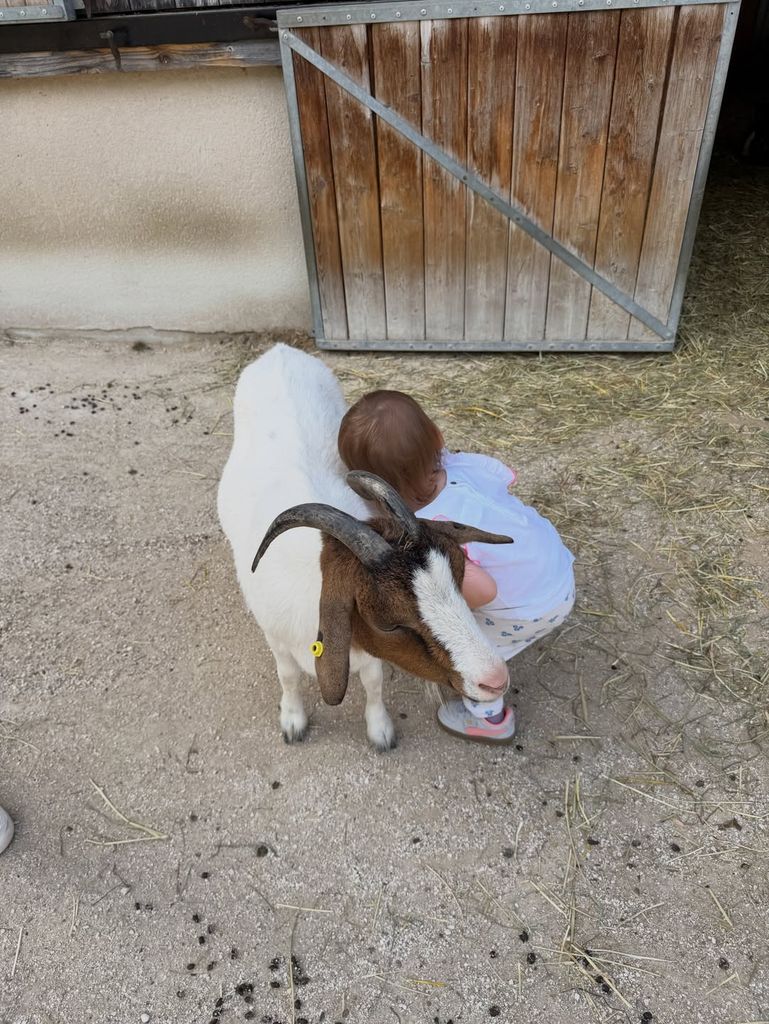 La pequeña Constance abrazada a una cabrita