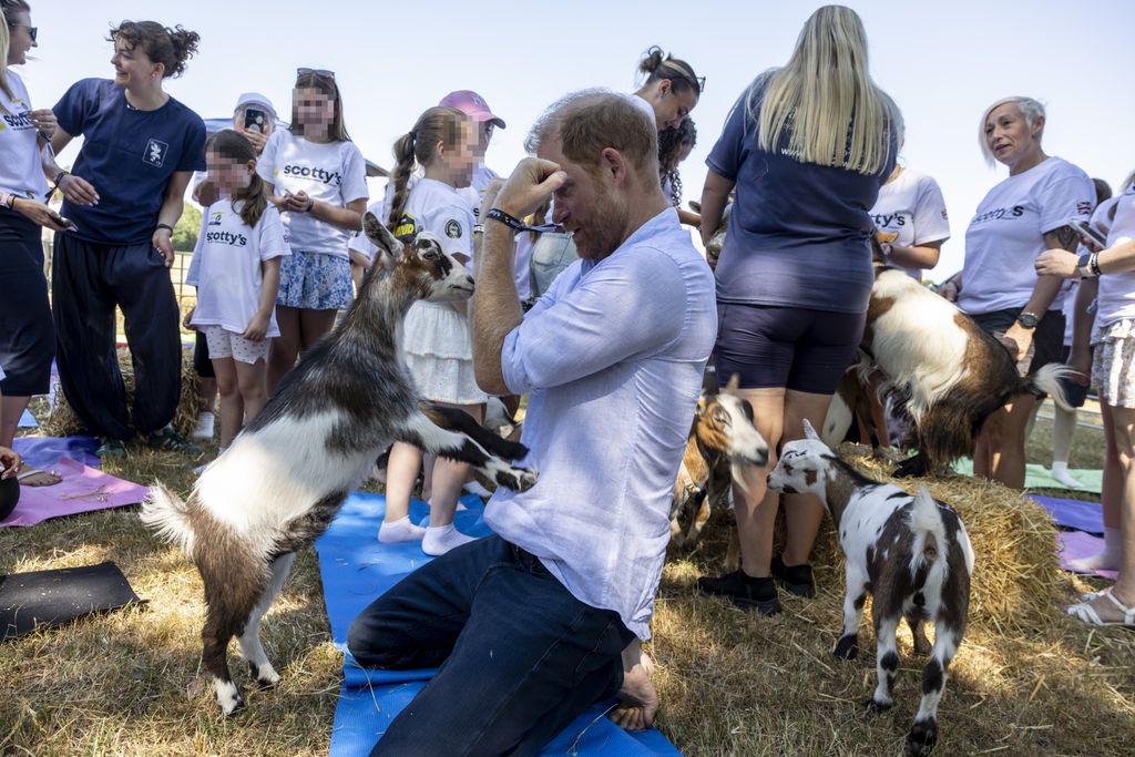 El príncipe Harry, durante su sesión de yoga con cabras en Reino Unido
