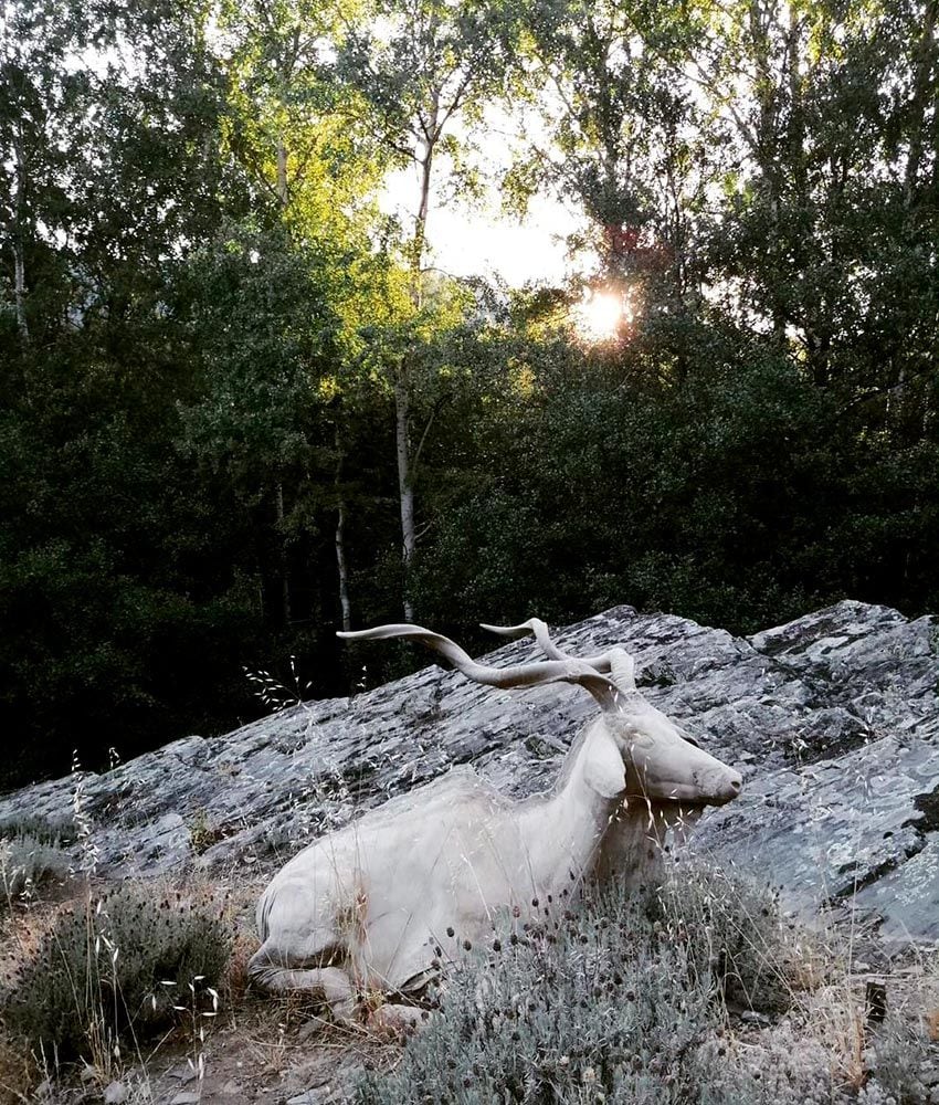 Puebla de la Sierra y el Valle de los Sueños, sierra de Madrid: museo de escultura al aire libre